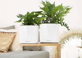 Lechuza CUBE Glossy 16 - All-in-One - Smart-Watering Planter