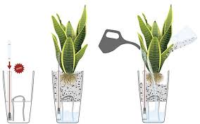 Lechuza MAXI-CUBI - All-in-One - Smart-Watering Planter